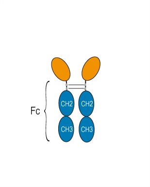 Experimental Validation Results for Lesigercept